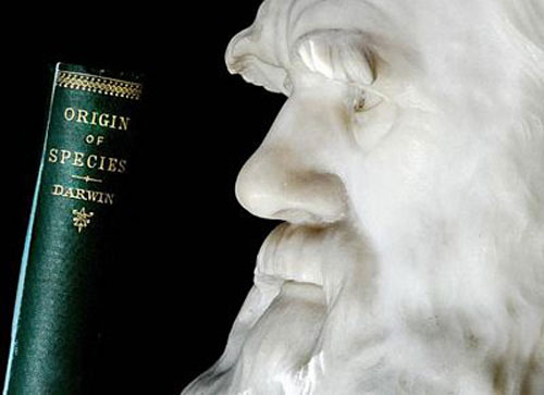 Picture 3 of Controversy 'unique' about Evolutionary theory