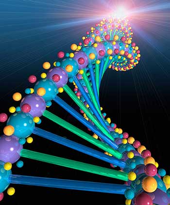 Picture 1 of Cooperation in human genome research