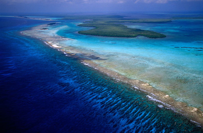 Picture 7 of Coral Reef Belize Barrier