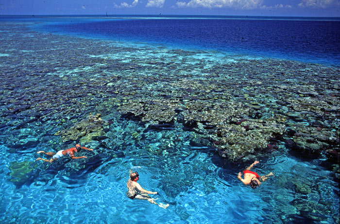 Picture 9 of Coral Reef Belize Barrier