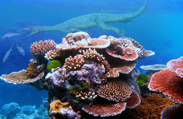 Picture 1 of Corals appear at the same time as dinosaurs