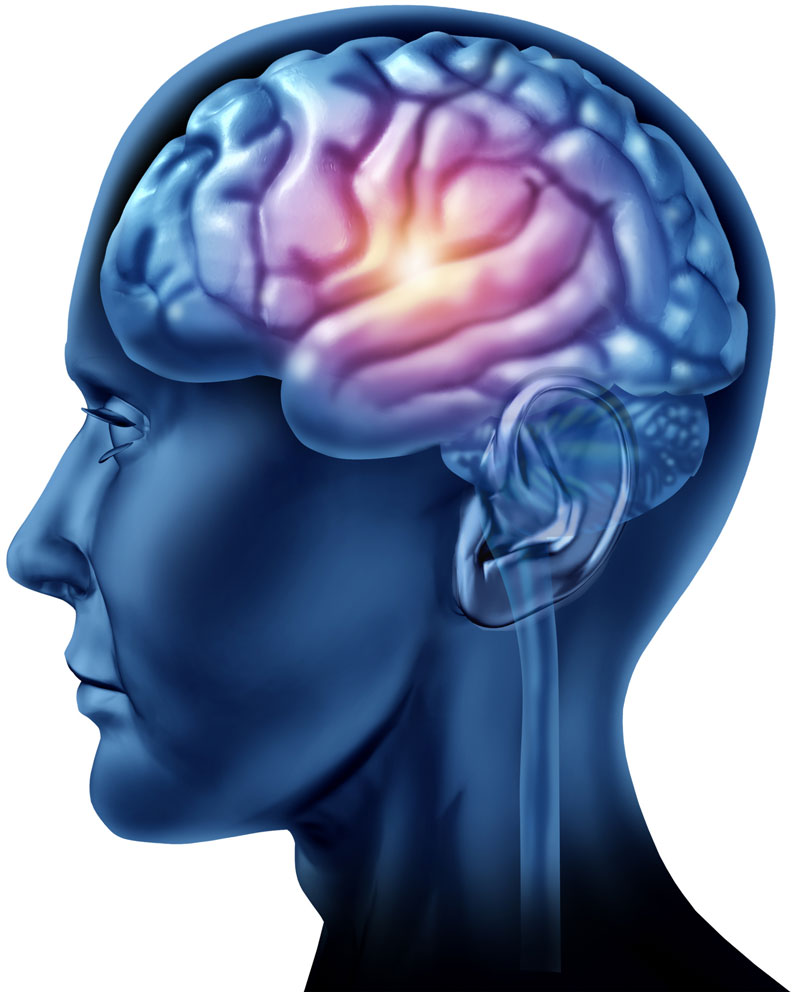 Picture 1 of Cortical stimulation will enhance memory