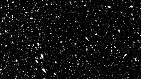 Picture 1 of Could the Earth be the harsh place for life in the universe?