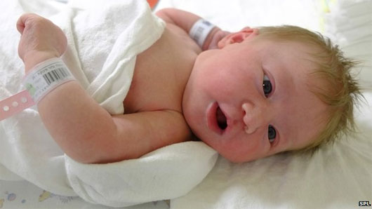 Picture 1 of Create babies from 3 people, why not?