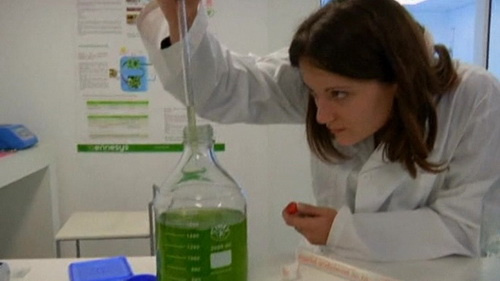 Picture 1 of Create energy from algae