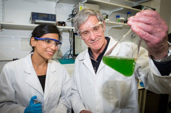 Picture 2 of Create green fuel by photosynthesis