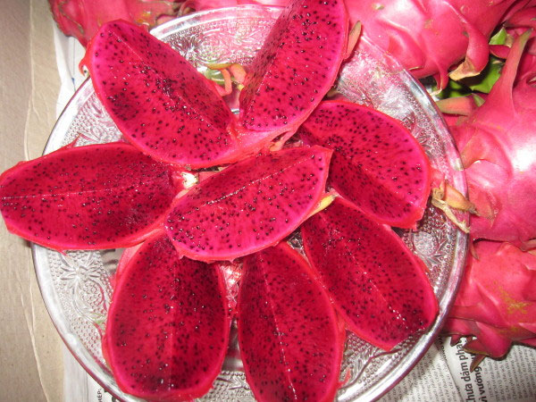 Picture 1 of Create many new varieties of mass production in the South