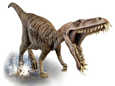 Picture 2 of Create new breeds of chickens that carry dinosaur genes