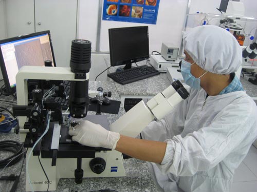 Picture 1 of Create pearls in the laboratory