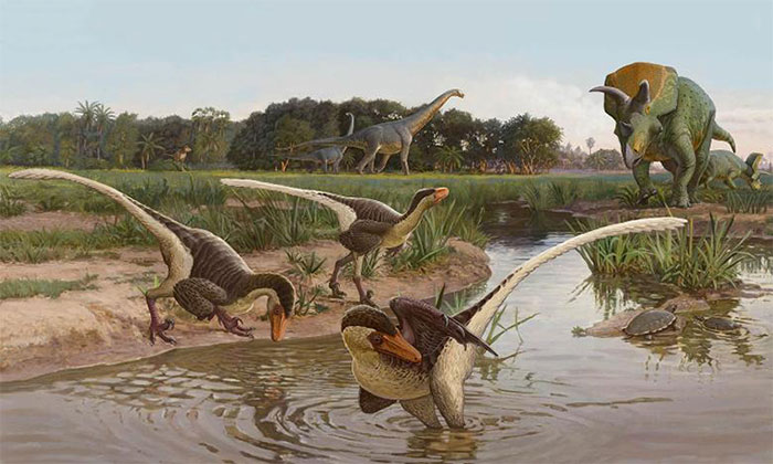 Picture 1 of Cretaceous fossils reveal new dinosaurs