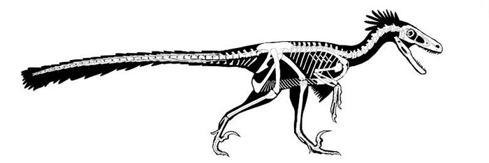Picture 2 of Cretaceous fossils reveal new dinosaurs