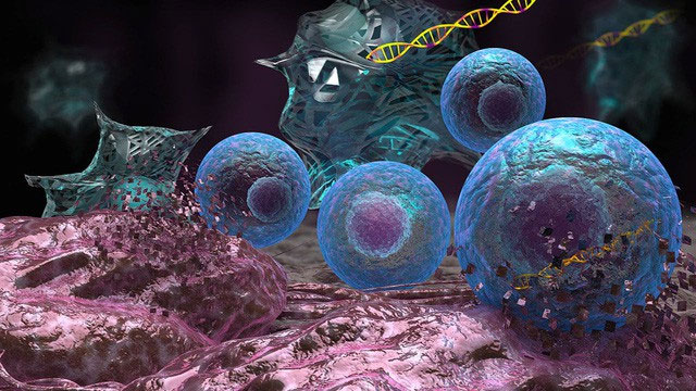 Picture 2 of CRISPR gene editing technique will make cancer cells no longer immortal
