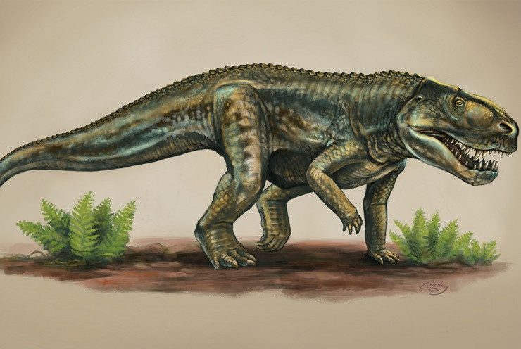 Picture 1 of Crocodile cousins ​​appeared 212 million years ago