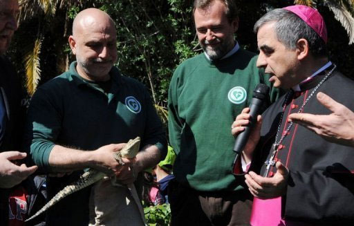 Picture 1 of Crocodile is promoted to the rank of ambassador