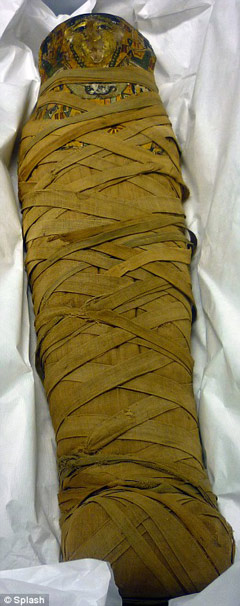 Picture 4 of CT scan to find the sex of the mummy