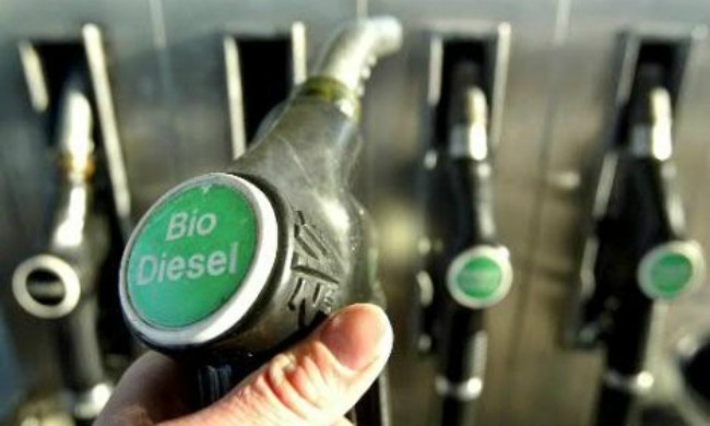 Picture 1 of Cuba started piloting biodiesel production from the fence