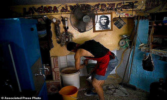 Picture 4 of Cuban farmers use condoms to soak fruit wine