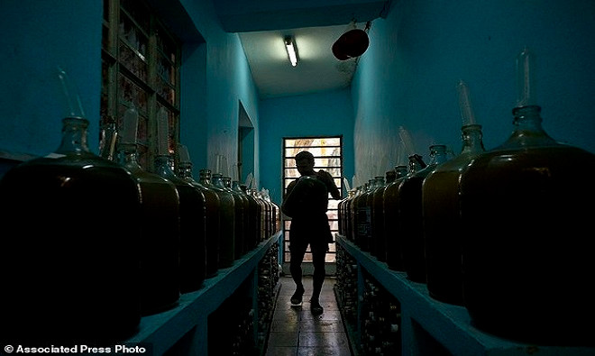 Picture 5 of Cuban farmers use condoms to soak fruit wine
