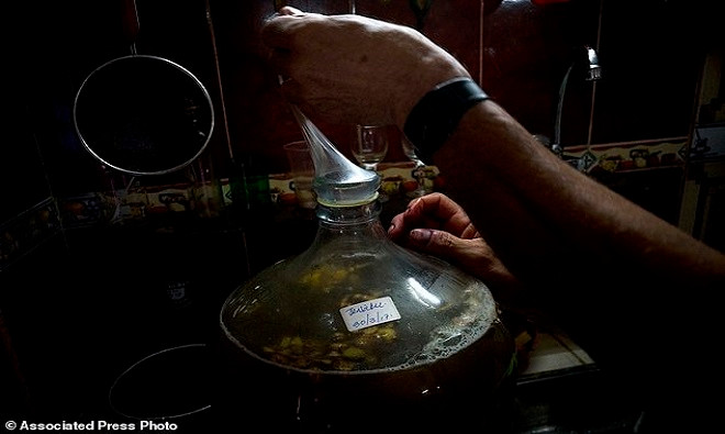 Picture 6 of Cuban farmers use condoms to soak fruit wine