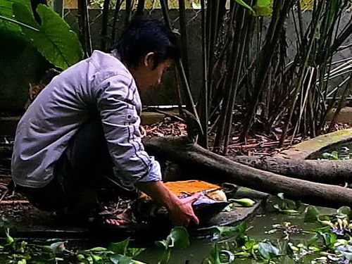 Picture 2 of Cuc Phuong's Turtle House