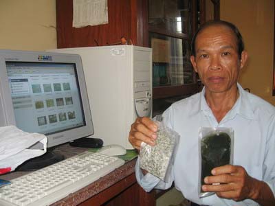 Picture 9 of Cultivation of sea grapes: A capital but a few words