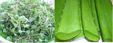 Picture 2 of Cure diabetes according to traditional medicine