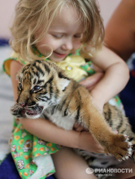 Picture 8 of Cute animal photos: Dogs raising tigers