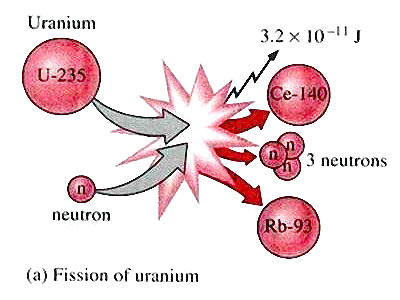Picture 3 of Dalat nuclear reactor: Use low-enriched uranium