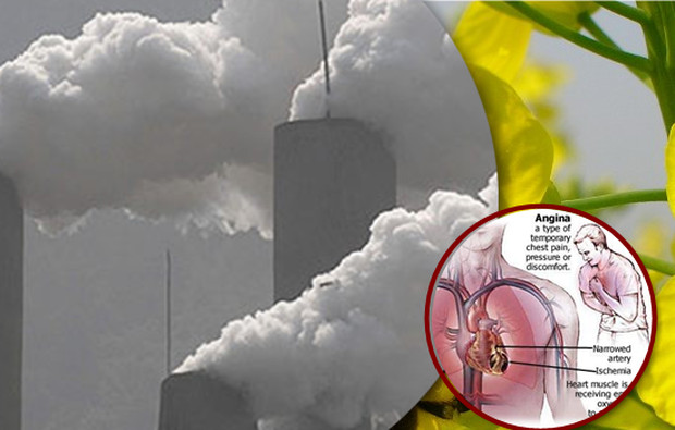 Picture 6 of Dangerous dust causes DNA alteration and many labeling problems