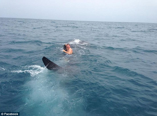 Picture 1 of Daredevils turn sharks into yachts