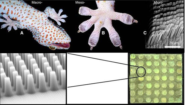 Picture 5 of DARPA: The place to turn ideas into reality