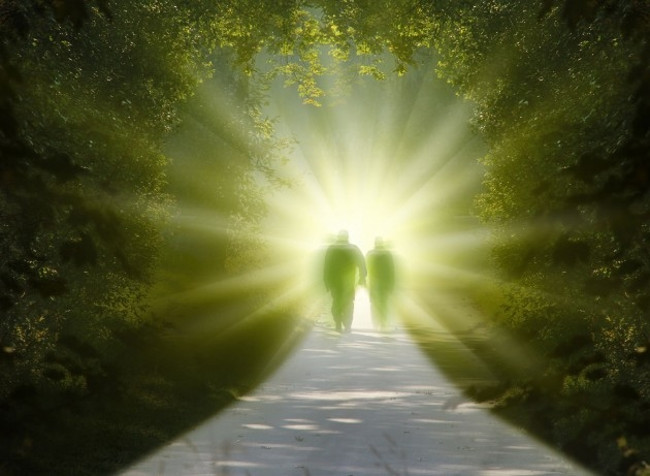 Picture 7 of Dead and alive again - The phenomenon of wonder and explanation