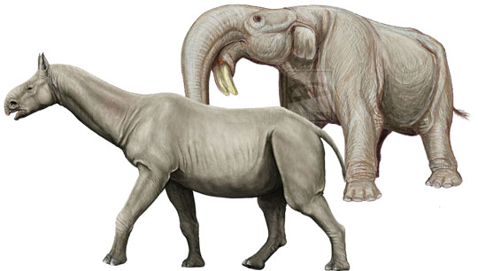 Picture 1 of Dead dinosaurs, mammals