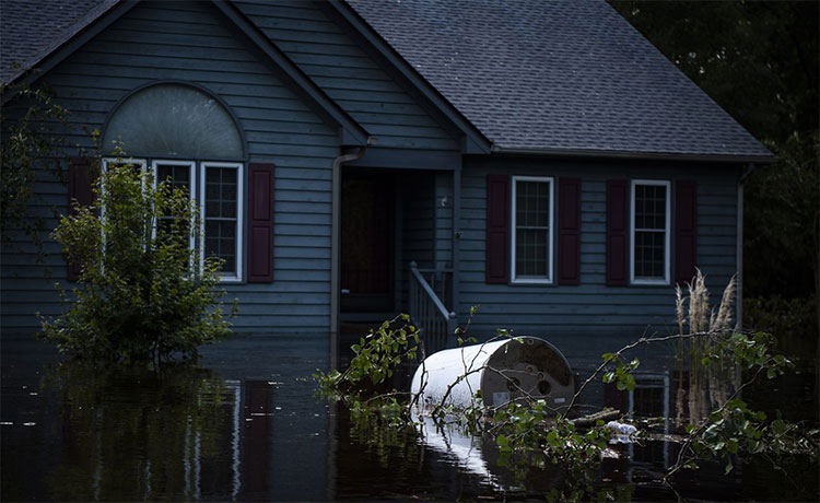 Picture 3 of Deadly dangers inside the floodwaters after super typhoon Florence