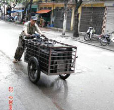 Picture 1 of Deadly mystery of honeycomb super coal
