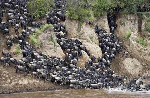 Picture 1 of Death gate on the river