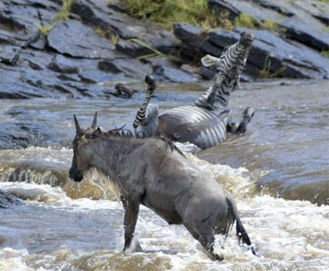 Picture 10 of Death gate on the river