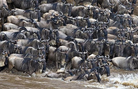 Picture 2 of Death gate on the river