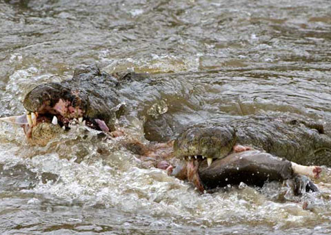 Picture 9 of Death gate on the river