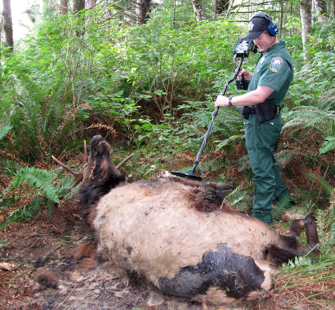 Picture 4 of Death of Sudanese white rhino and warning to all humanity