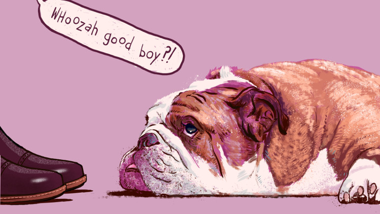Picture 4 of Decipher the habit of someone who loves dogs also do it every time he sees a puppy