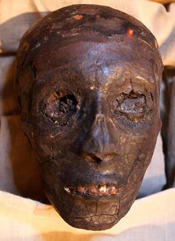 Picture 2 of Decipher the mysterious death of the famous Egyptian king