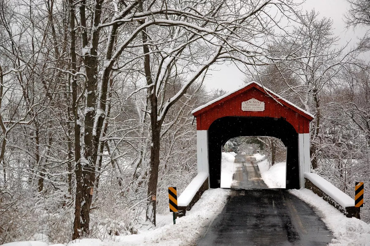 Picture 1 of Decipher the mystery of the bridge that voices children in the middle of the night