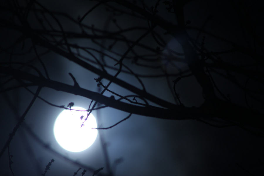 Picture 7 of Deciphering 7 rumors - building nape hairs around the full moon