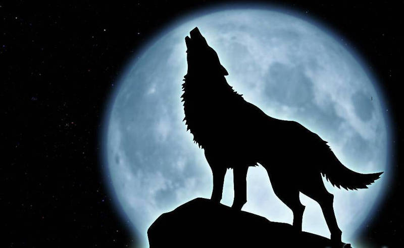 Picture 9 of Deciphering 7 rumors - building nape hairs around the full moon
