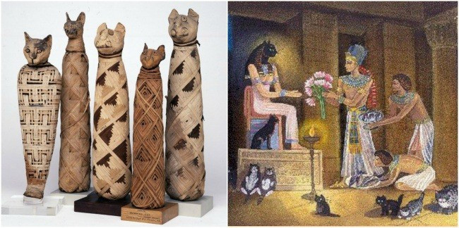 Picture 5 of Deciphering secret life of ancient people