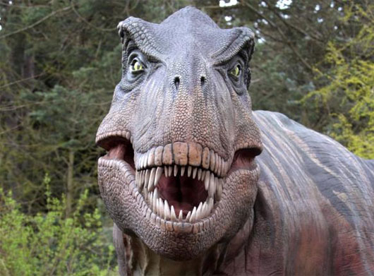 Picture 1 of Decode secret million years of the most giant monster on Earth