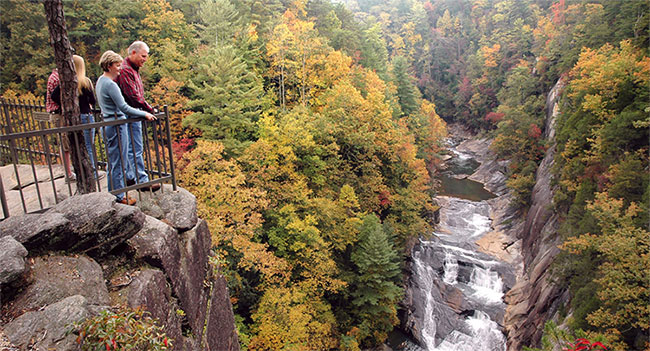 Picture 8 of Decode strange natural phenomena that happen in autumn