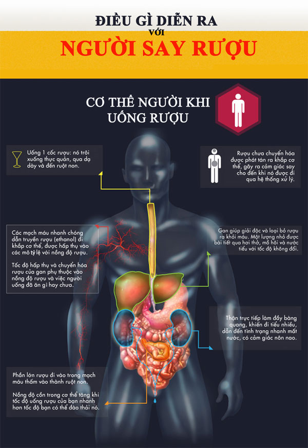 Picture 1 of Decode the body manifest when drunk