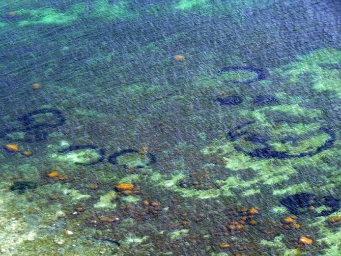 Picture 2 of Decode the fairy circles in Danish waters